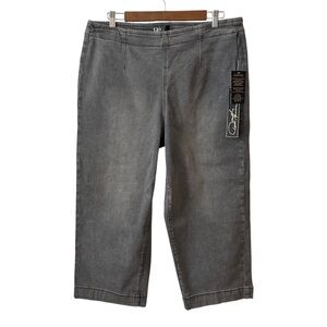 NWT DG2 by‎ Diane Gilman New Classic Stretch Denim Straight Leg Crop Jean PW16